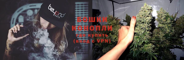Альфа ПВП Ельня