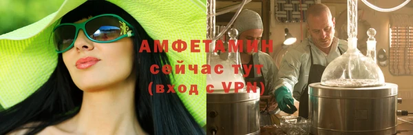 ГАЛЛЮЦИНОГЕННЫЕ ГРИБЫ Елизово