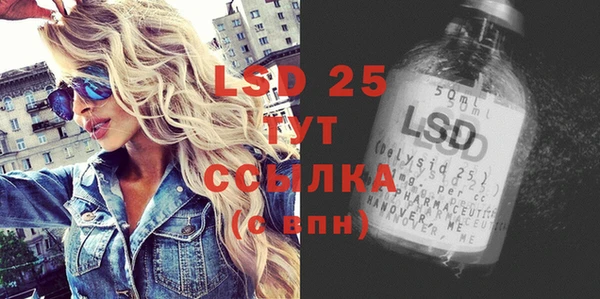 ГАЛЛЮЦИНОГЕННЫЕ ГРИБЫ Елизово