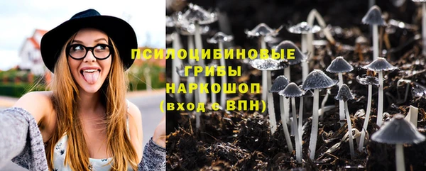 Альфа ПВП Ельня