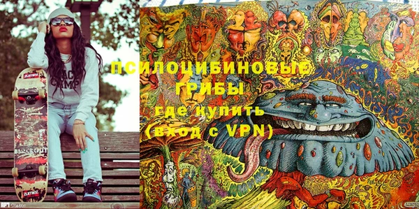 ГАЛЛЮЦИНОГЕННЫЕ ГРИБЫ Елизово