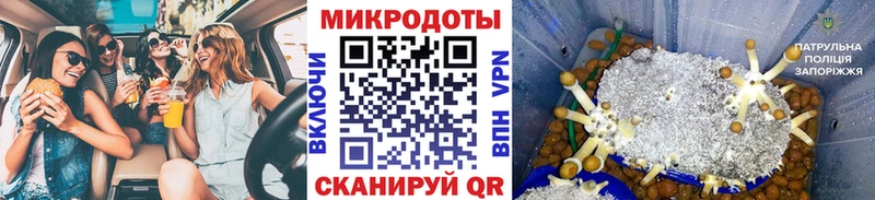 Псилоцибиновые грибы MAGIC MUSHROOMS Зея